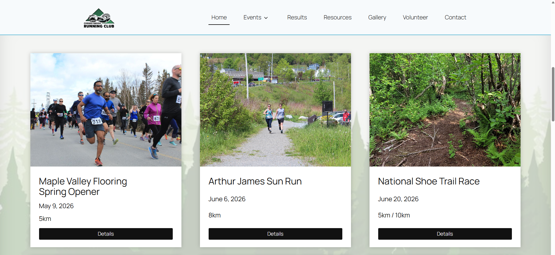 Our finished website!